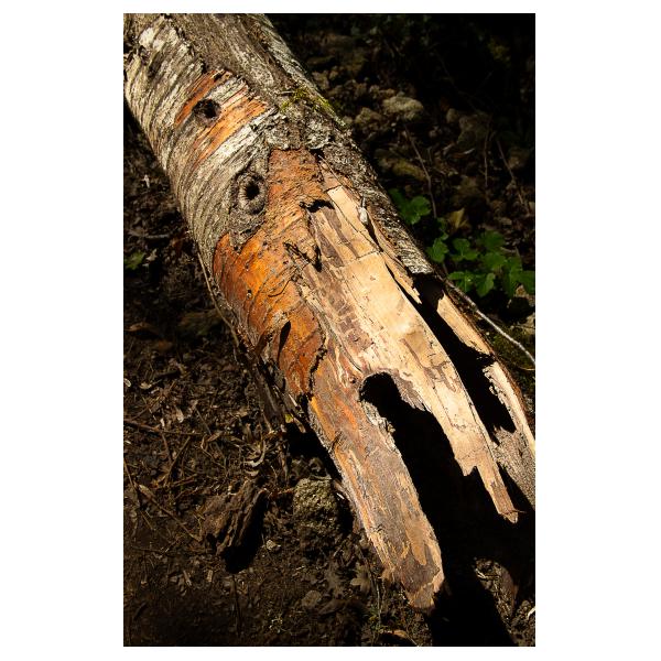 PHOTO84, CLUB, 84 , LUBERON